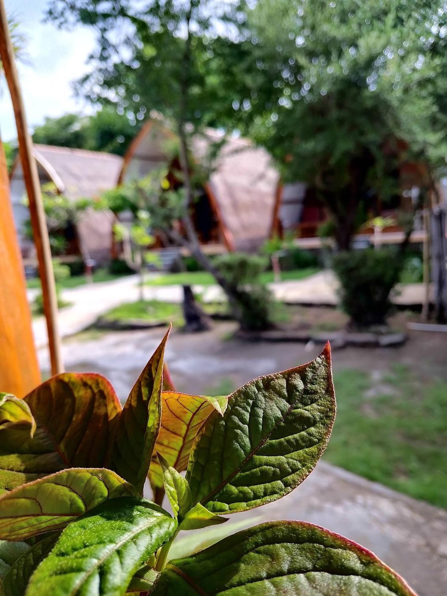 We'Be Cottages Gili Meno Exteriér fotografie